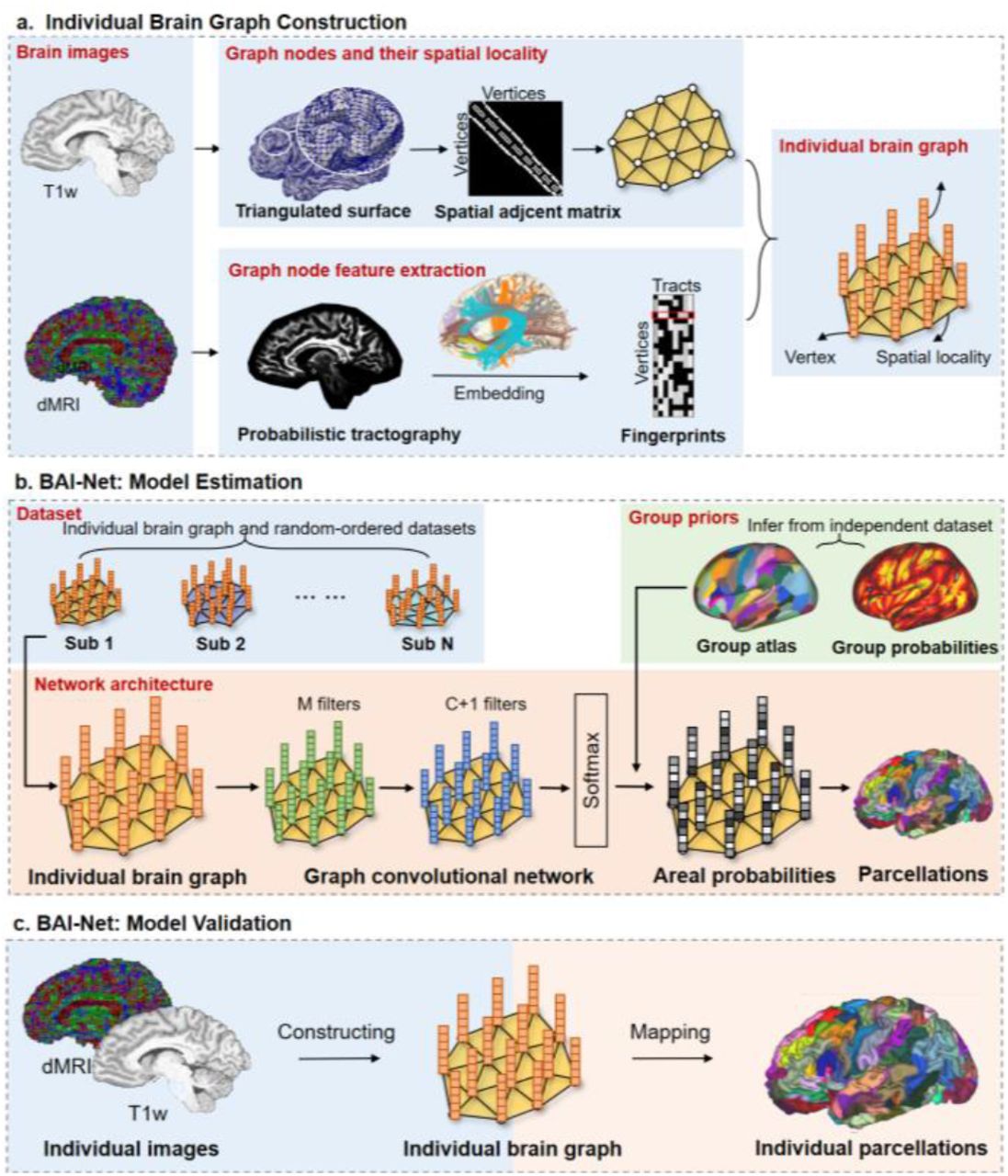 Bai net individualized anatomical cerebral cartography using graph