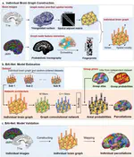 BAI-Net: Individualized Anatomical Cerebral Cartography using Graph Convolutional Network