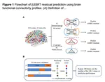 Functional Connectivity Predicts Individual Development of Inhibitory Control during Adolescence