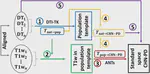 The SACT Template: A Human Brain Diffusion Tensor Template for School-age Children